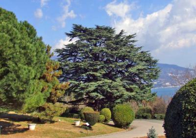 Прикрепленное изображение: DSCF6552.jpg